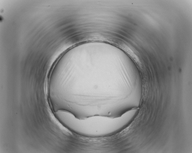 X0000088381084200706121139