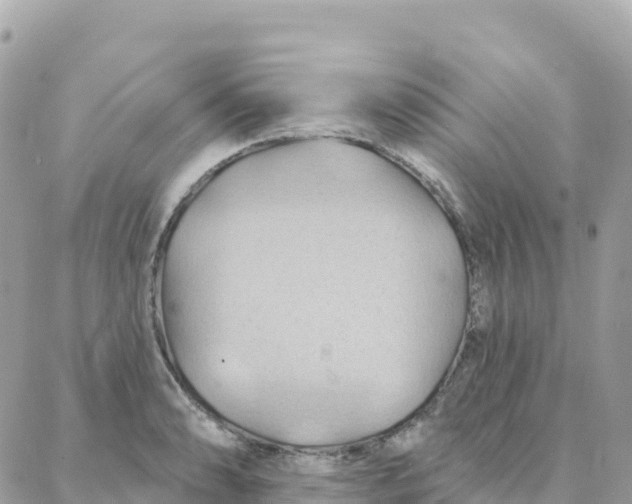 X0000088381086200706121139