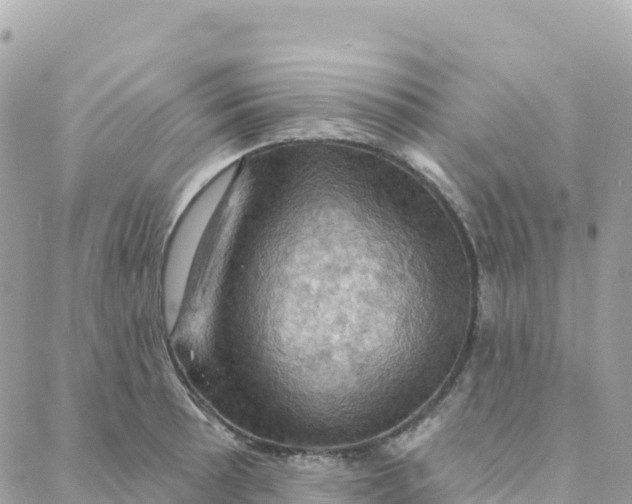 X0000088381089200706121139