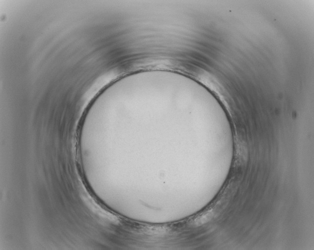 X0000088381090200706121139