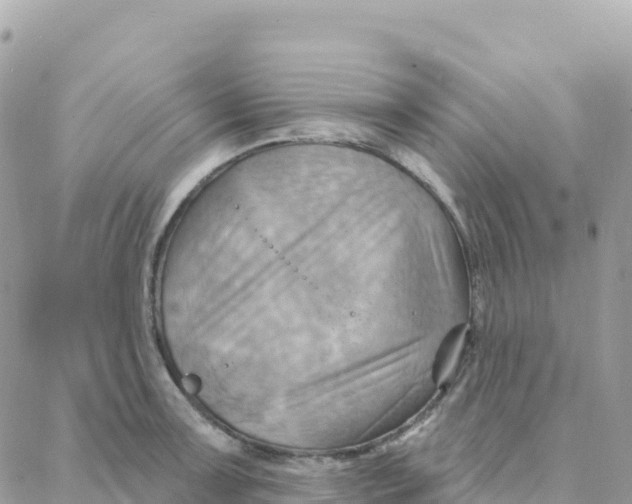 X0000088381091200706121139