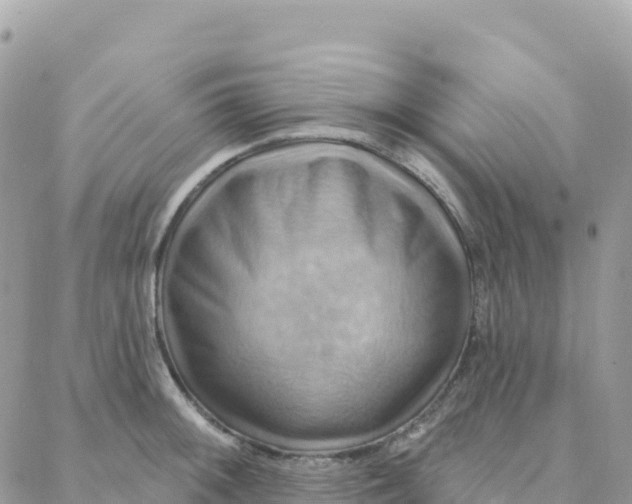 X0000088381092200706121139