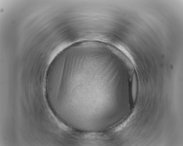 X0000088381093200706121139