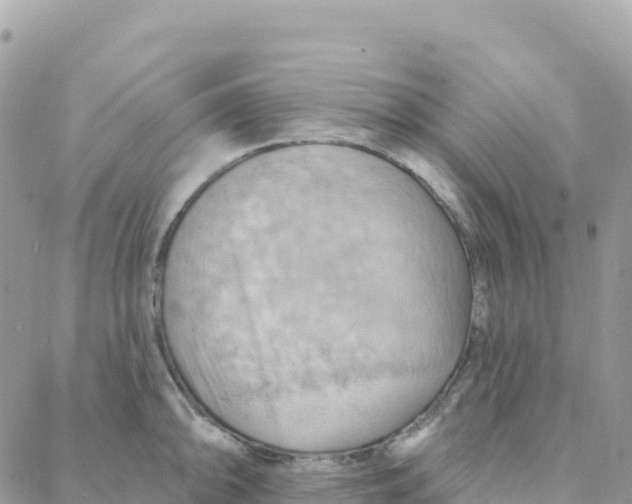 X0000088381094200706121139