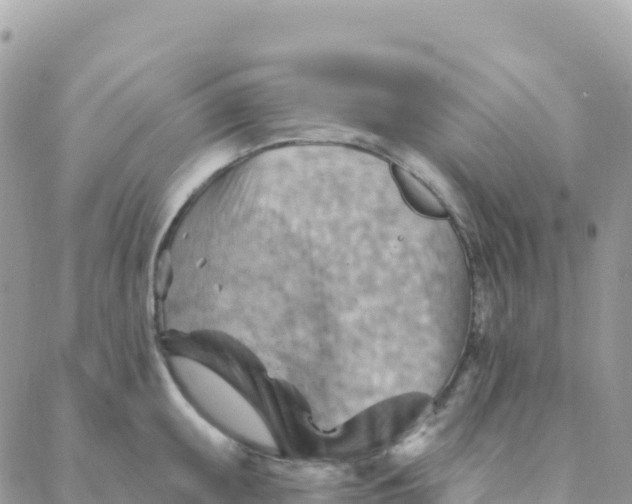 X0000088381095200706121139