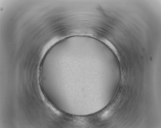 X0000088381096200706121139