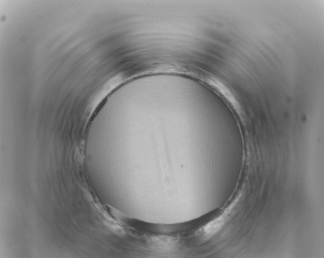 X0000088381097200706121139