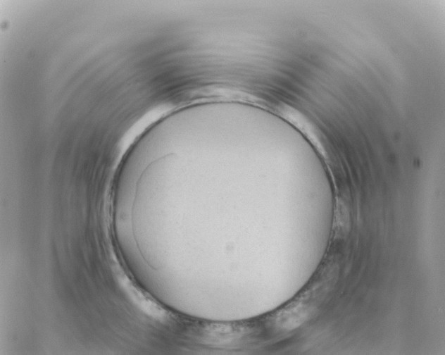 X0000088381098200706121139