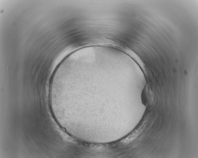 X0000088381099200706121139