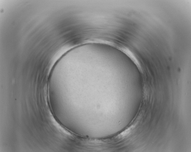 X0000088381100200706121139