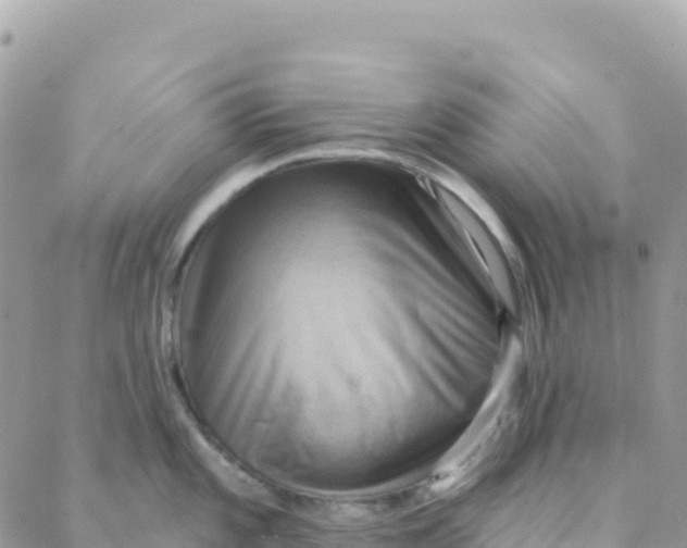 X0000088381101200706121139