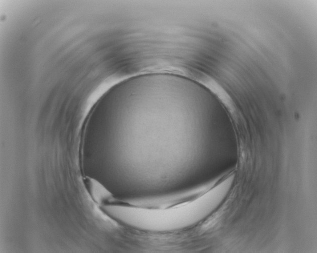 X0000088381102200706121139