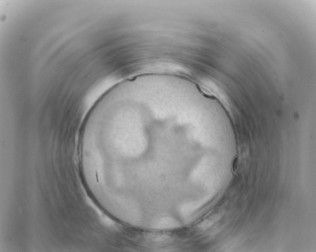 X0000088381103200706121139