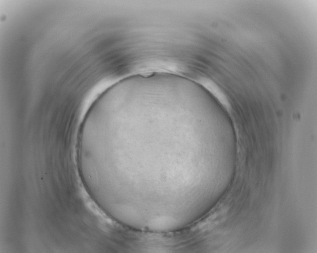 X0000088381104200706121139