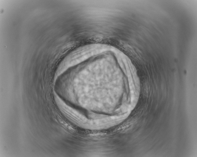 X0000088381105200706121138