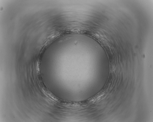 X0000088381106200706121138