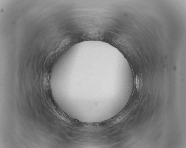 X0000088381107200706121138