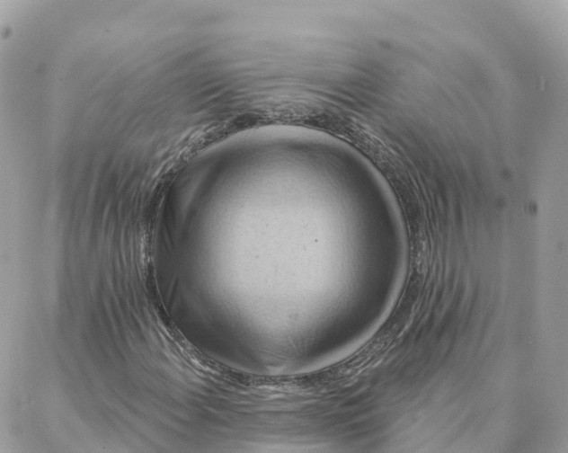 X0000088381108200706121138