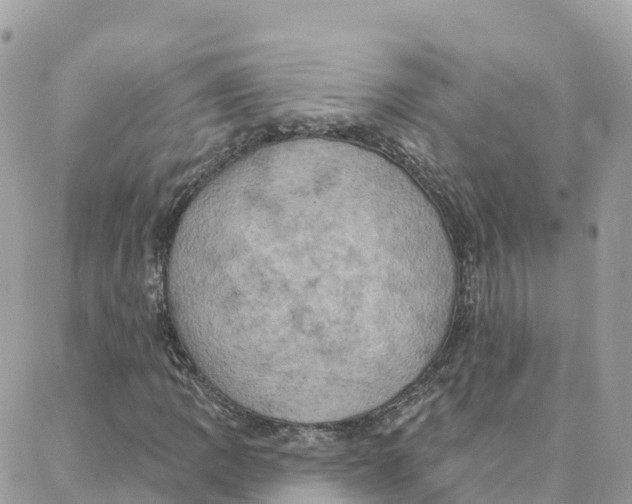 X0000088381109200706121138