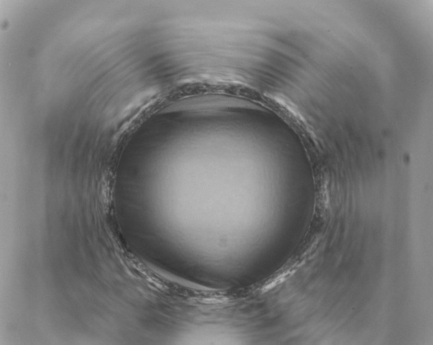 X0000088381110200706121138