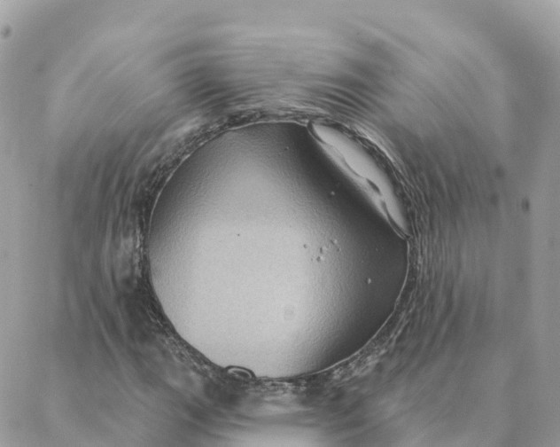 X0000088381111200706121138