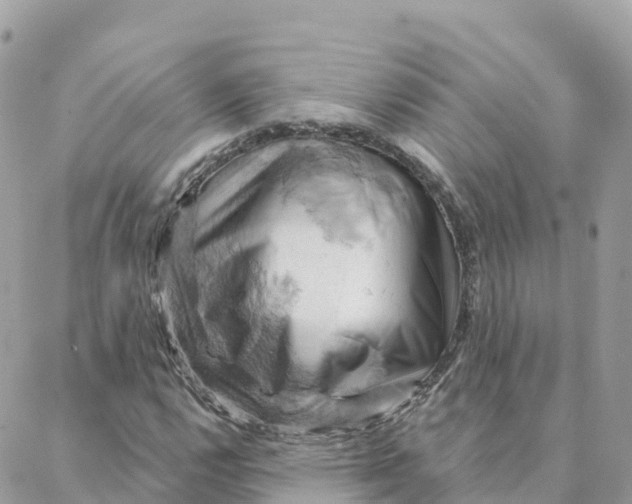 X0000088381112200706121138