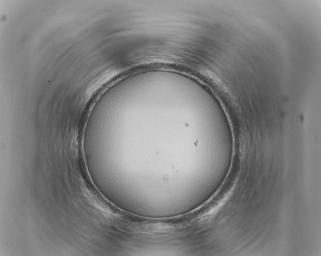 X0000088381113200706121138