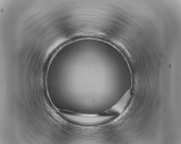 X0000088381114200706121138