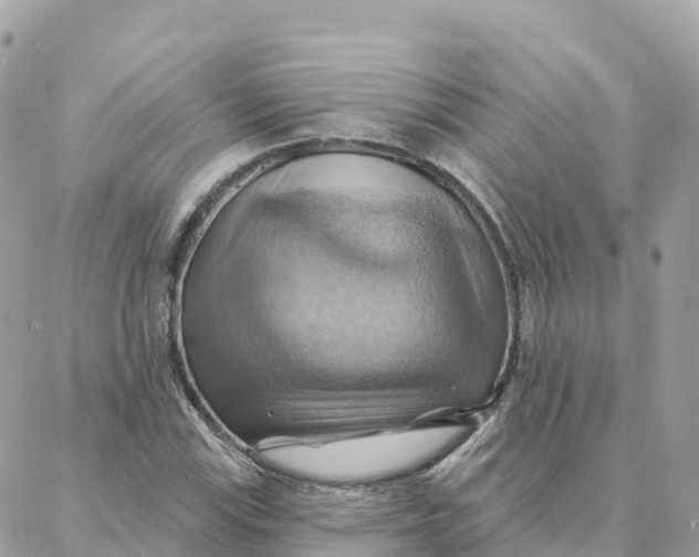 X0000088381115200706121138