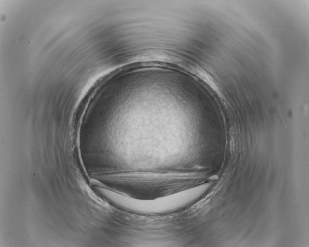 X0000088381116200706121138