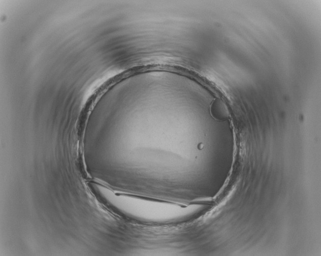 X0000088381117200706121138