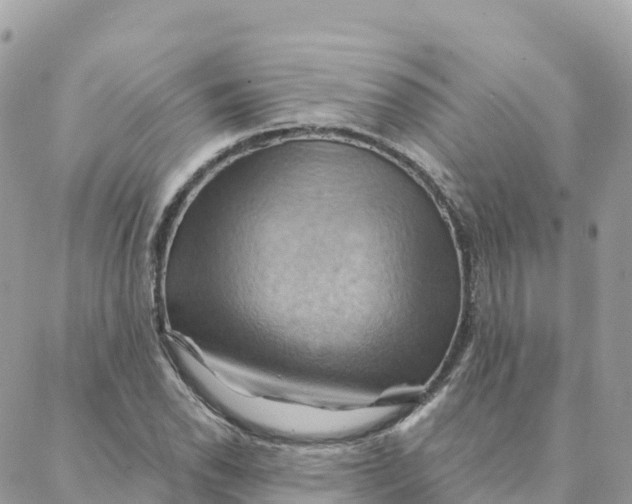 X0000088381118200706121138