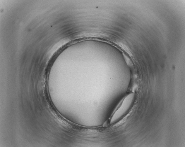 X0000088381119200706121138