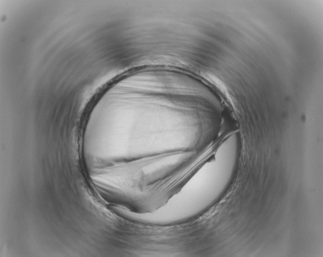 X0000088381120200706121138