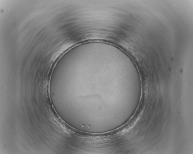 X0000088381121200706121138