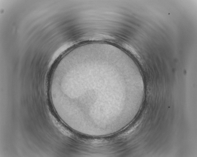 X0000088381122200706121138