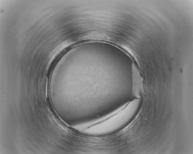 X0000088381123200706121138