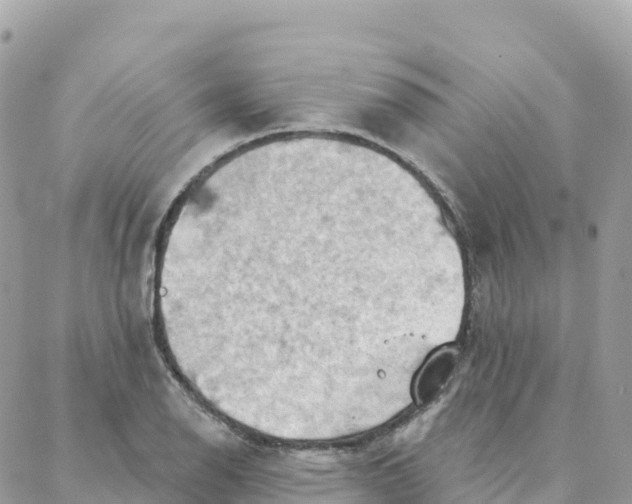 X0000088381126200706121138