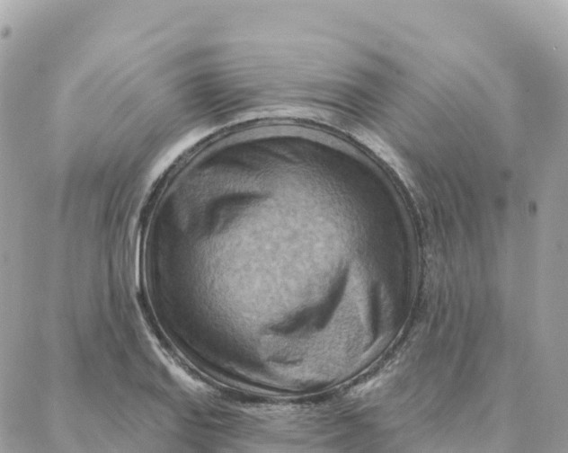 X0000088381127200706121138