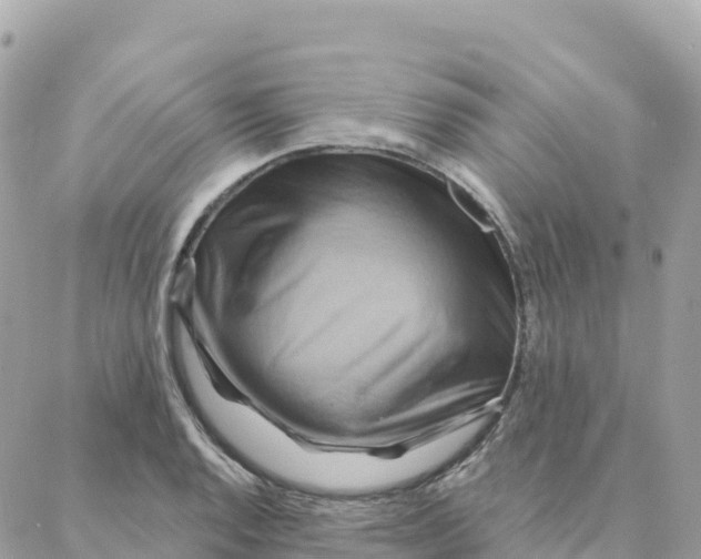 X0000088381128200706121138