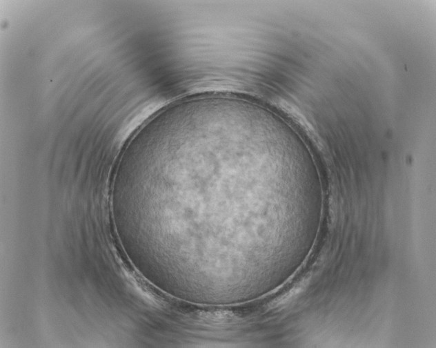 X0000088381129200706121138