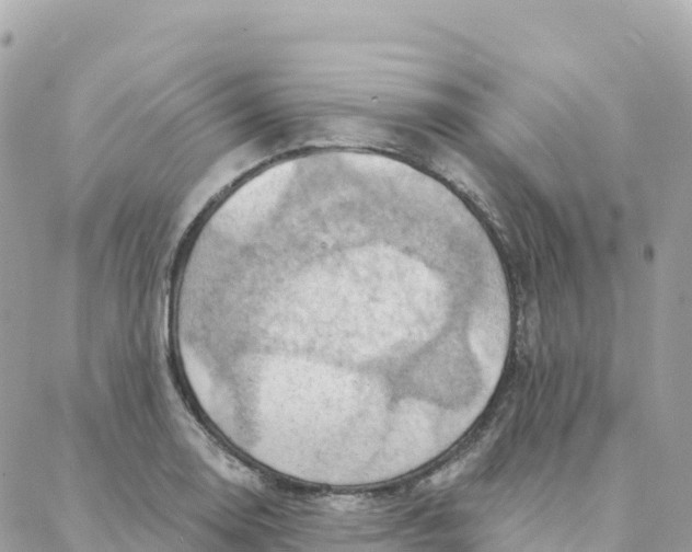 X0000088381130200706121138