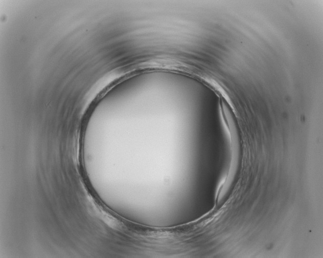 X0000088381131200706121138