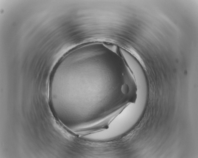 X0000088381132200706121138