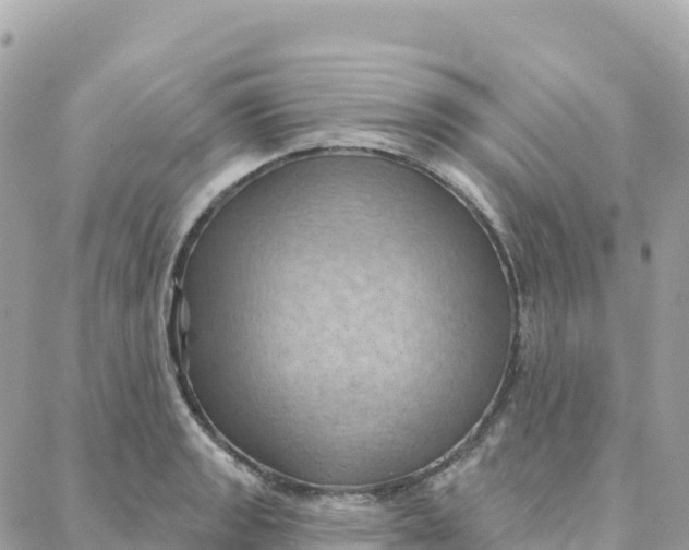 X0000088381133200706121138