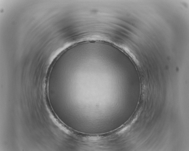 X0000088381134200706121138