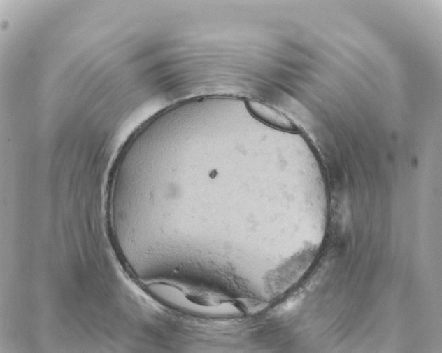 X0000088381135200706121138