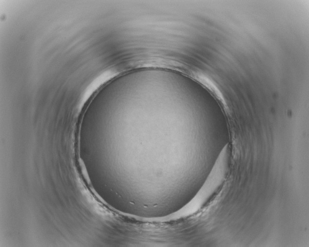 X0000088381138200706121138