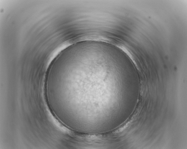 X0000088381139200706121138