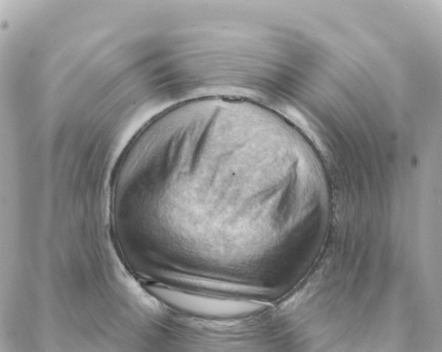 X0000088381140200706121138